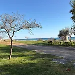 Elinor By The Sea * Flogita