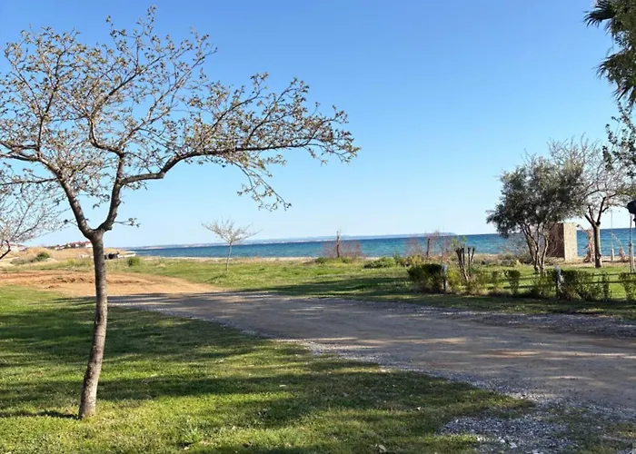 Elinor By The Sea * Flogita